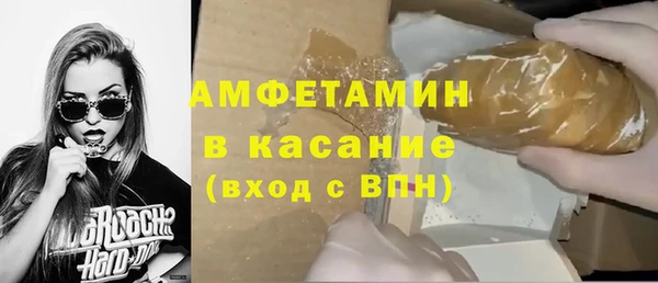 сатива Алзамай