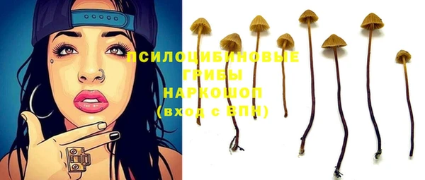 сатива Алзамай