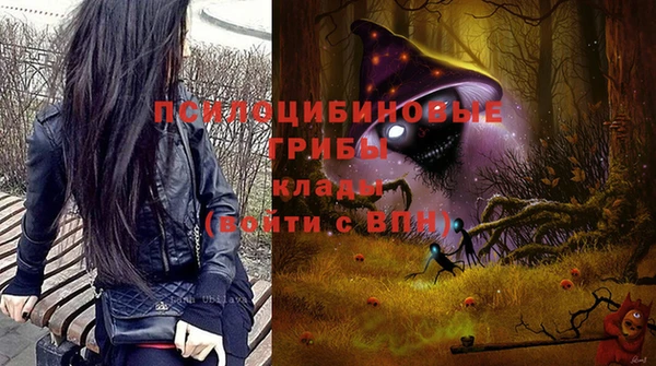 сатива Алзамай