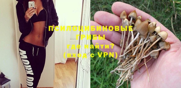 сатива Алзамай