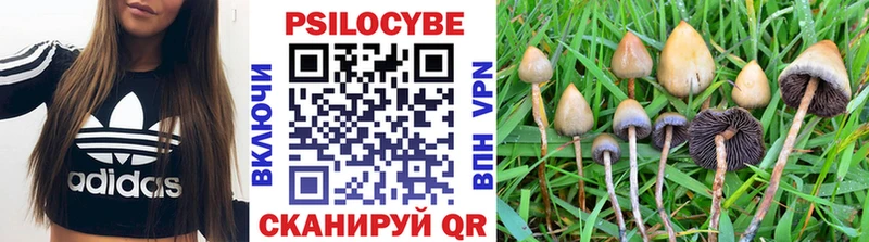 Псилоцибиновые грибы Cubensis  Красноярск 